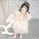 New Baby Dresses Autumn Children's Dresses Girls'dresses With Flowers Yarn Tulle Puffy Sleeve Jasmine Princess Party 1-7 Years