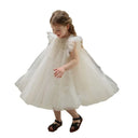 Baby Girl Dress Summer Toddler Kids Dress Baby Tutu Dresses Children Birthday Party Dress Baby Girl Clothes