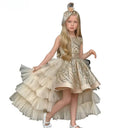 Girl's Princess Dress Cute Party Clothes for Special Events, Adorable Dresses for  Clothes Costumes Birthday Wedding